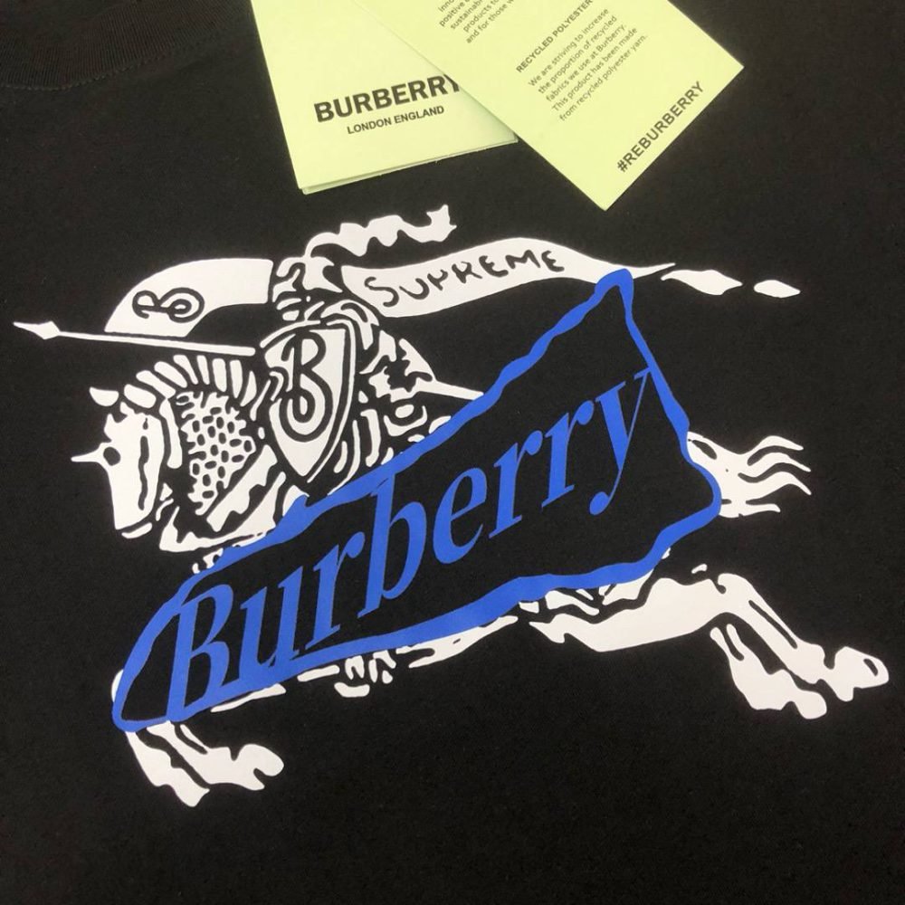 BURBERRY FRNT PRNT LOGO